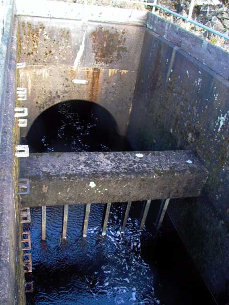 St. Fillans surge shaft