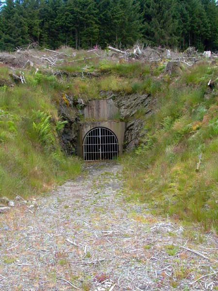 Nant power station - upstream adit