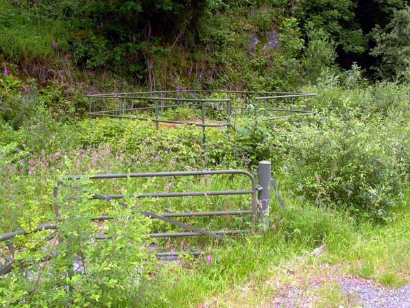 Nant power station - Interior 