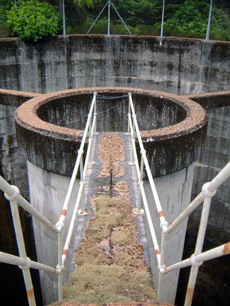 Invergarry: Surge Shaft