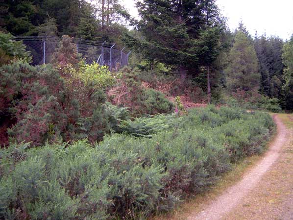Invergarry: Surge Shaft