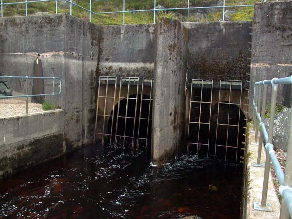 Lednock Dam